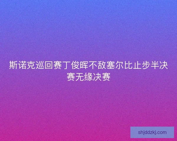 斯诺克巡回赛丁俊晖不敌塞尔比止步半决赛无缘决赛