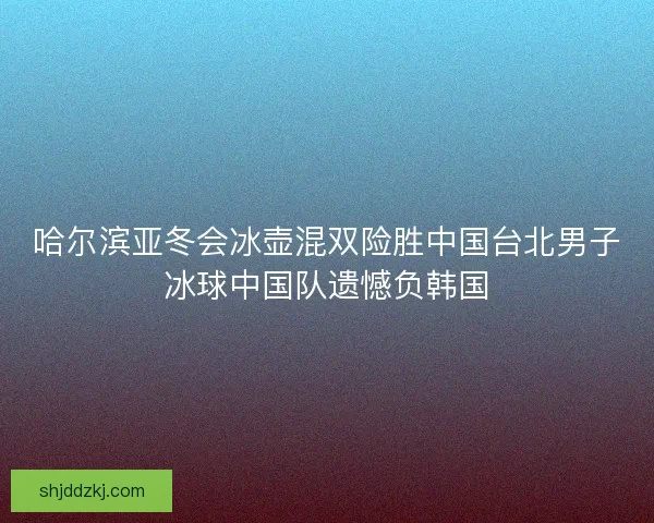 哈尔滨亚冬会冰壶混双险胜中国台北男子冰球中国队遗憾负韩国